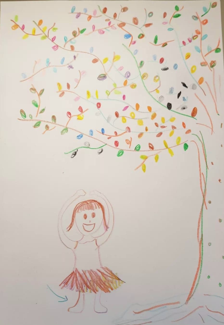 樹枝、樹葉、舞